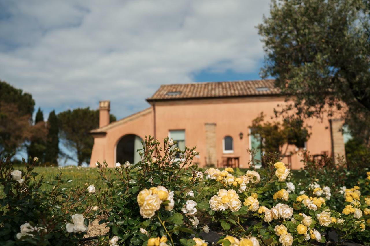 Bed and Breakfast Nontiscordardimé à Civitanova Marche Extérieur photo